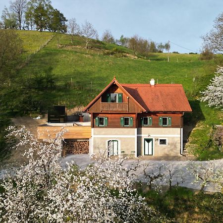 Pettinger Stoeckl Villa Heimschuh Exterior foto
